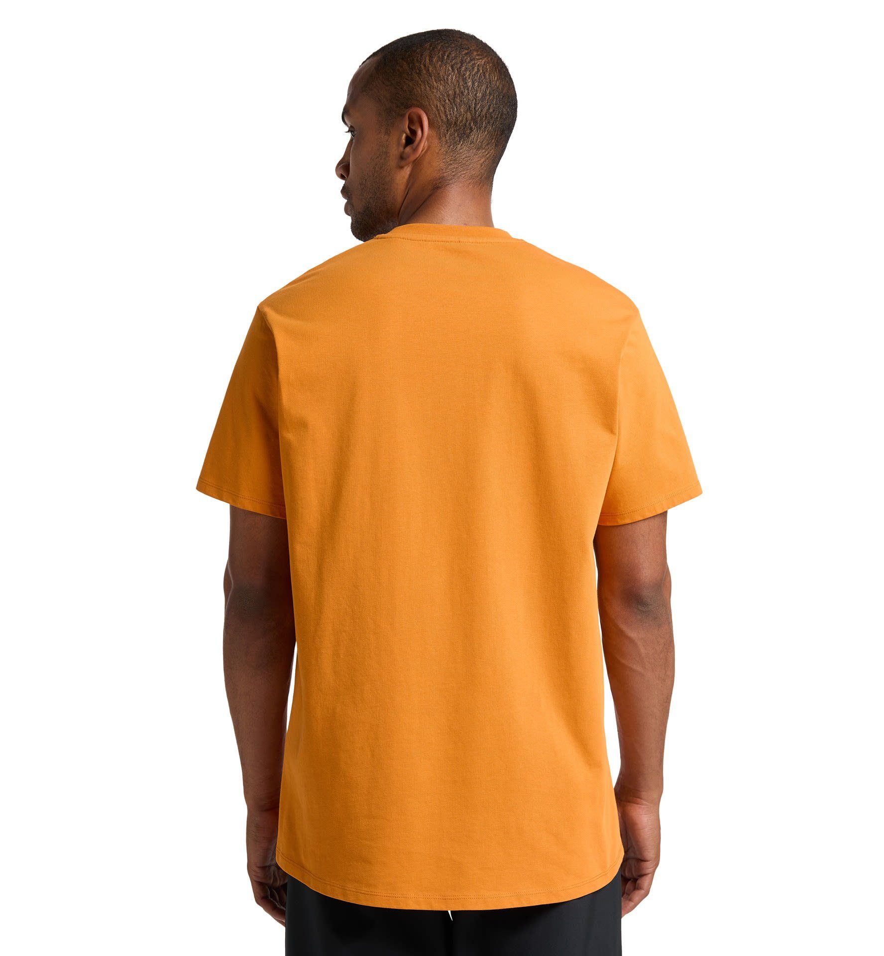 Kurzarm-Shirt Haglöfs Tee Desert M Camp Yellow Herren Haglöfs T-Shirt