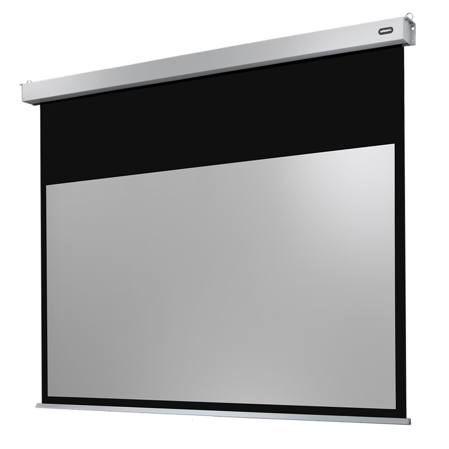 Celexon Professional Plus Motorleinwand (schwarze Rückseite)