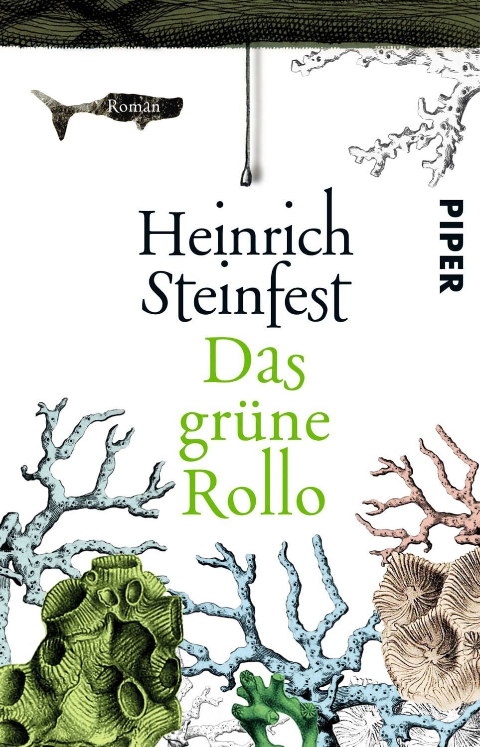 Das grüne Rollo / Heinrich Steinfest