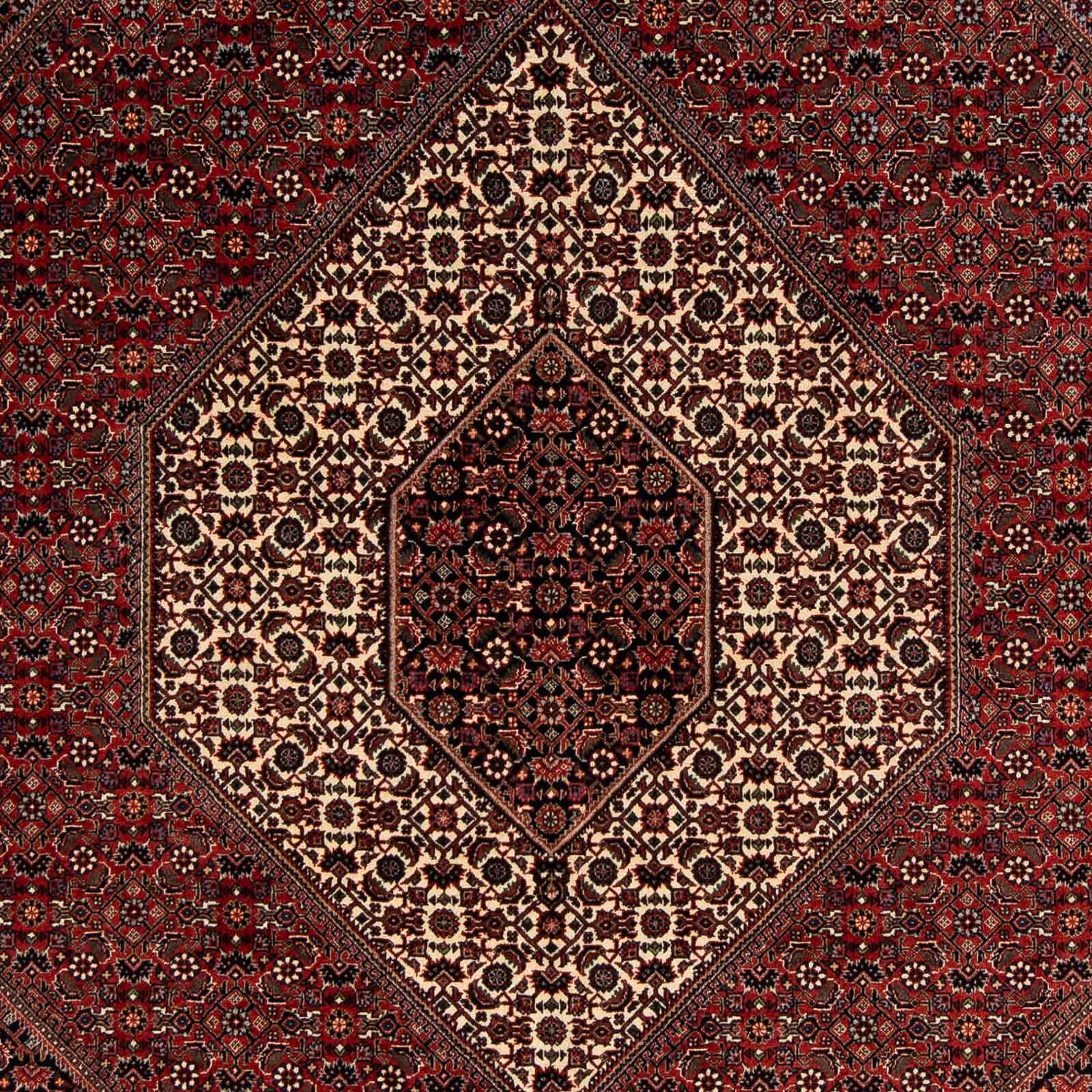 Perser morgenland, Einzelstück Bidjar - Wohnzimmer, 200 - mm, Höhe: mit Zertifikat Handgeknüpft, 259 dunkelrot, cm Orientteppich 15 x - rechteckig,