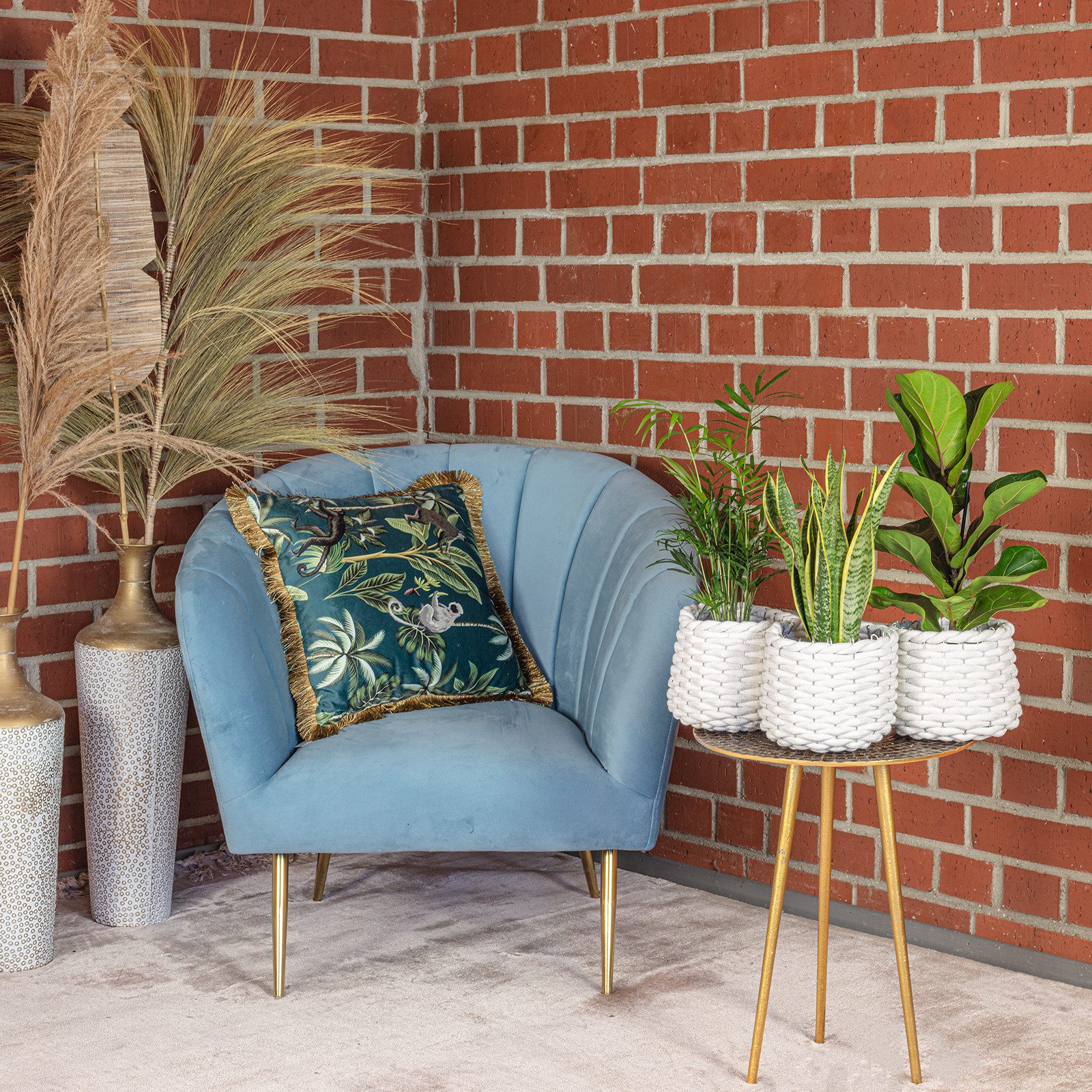 Flowerbox Zimmerpflanze Bergpalme, Geigenfeige, Bogenhanf, 3er-Set, pflegeleicht - Höhe ca. 40 cm, Topf Ø 12 cm