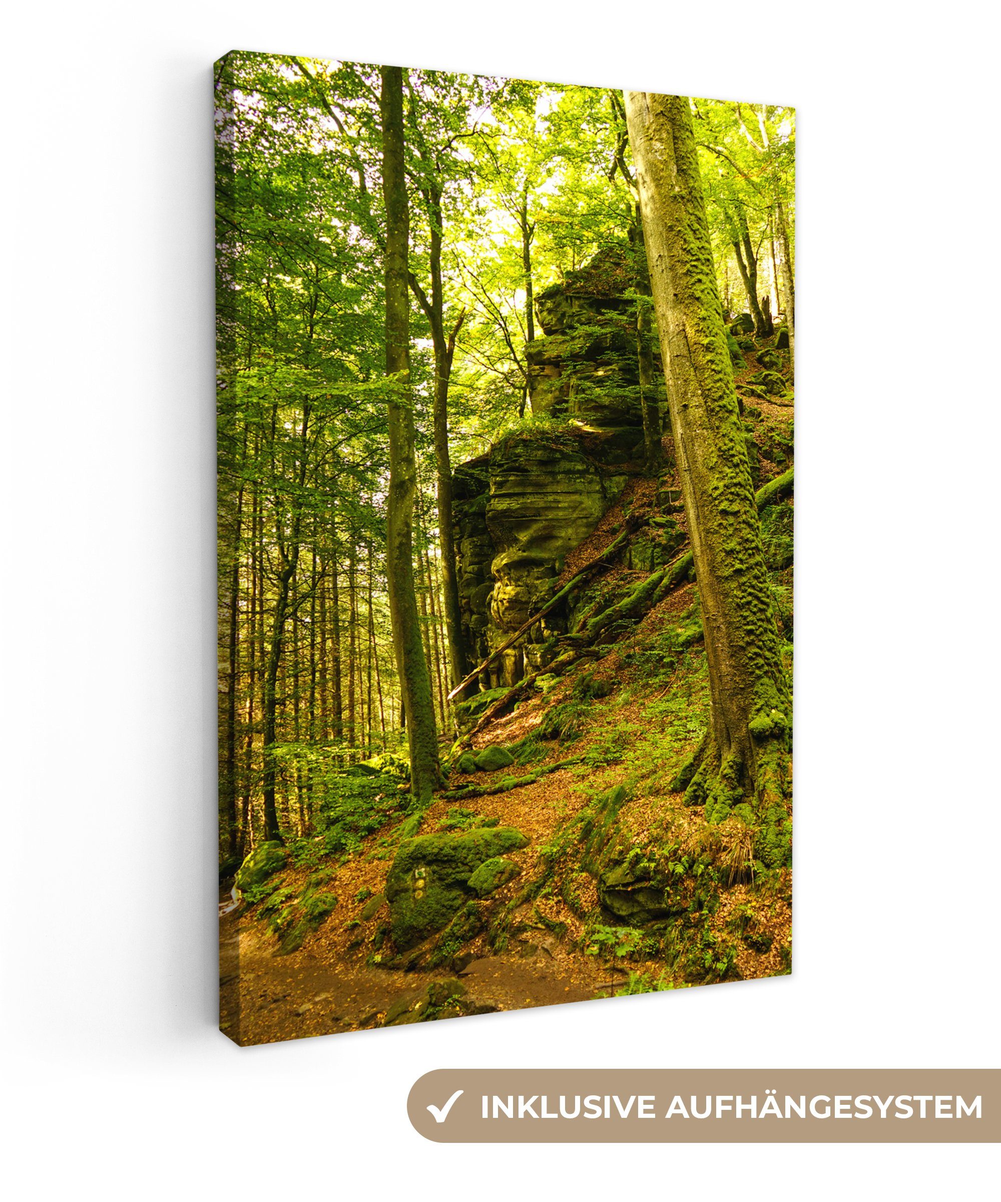OneMillionCanvasses® Leinwandbild Bäume - Stein - Wald - Natur - Pflanzen, günstig online kaufen
