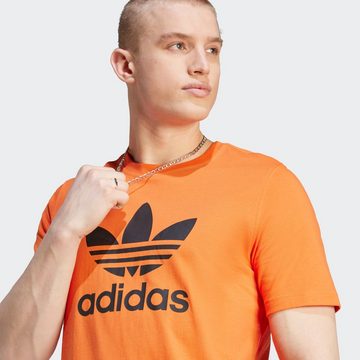 adidas Originals T-Shirt TREFOIL T-SHIRT