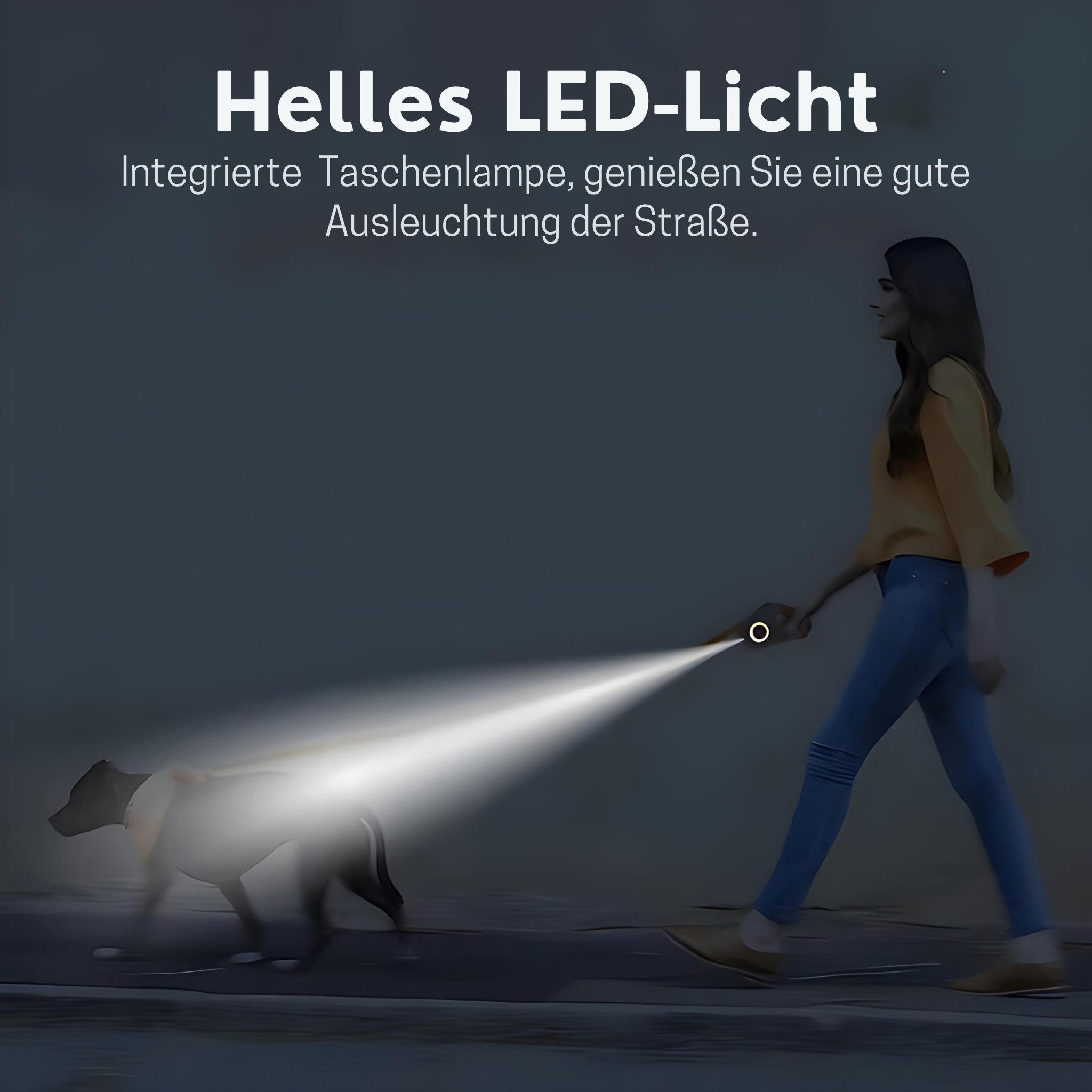 ROJECO Hundeleine mit LED Beleuchtung & Taschenlampe, Touch Bedienung, mit LED-Beleuchtung & integrierter Taschenlampe – Bild 4 von 5