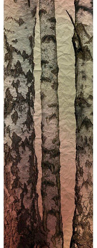 Architects Paper Fototapete Fairy Tale, (1 St), Struktur Tapete Natur