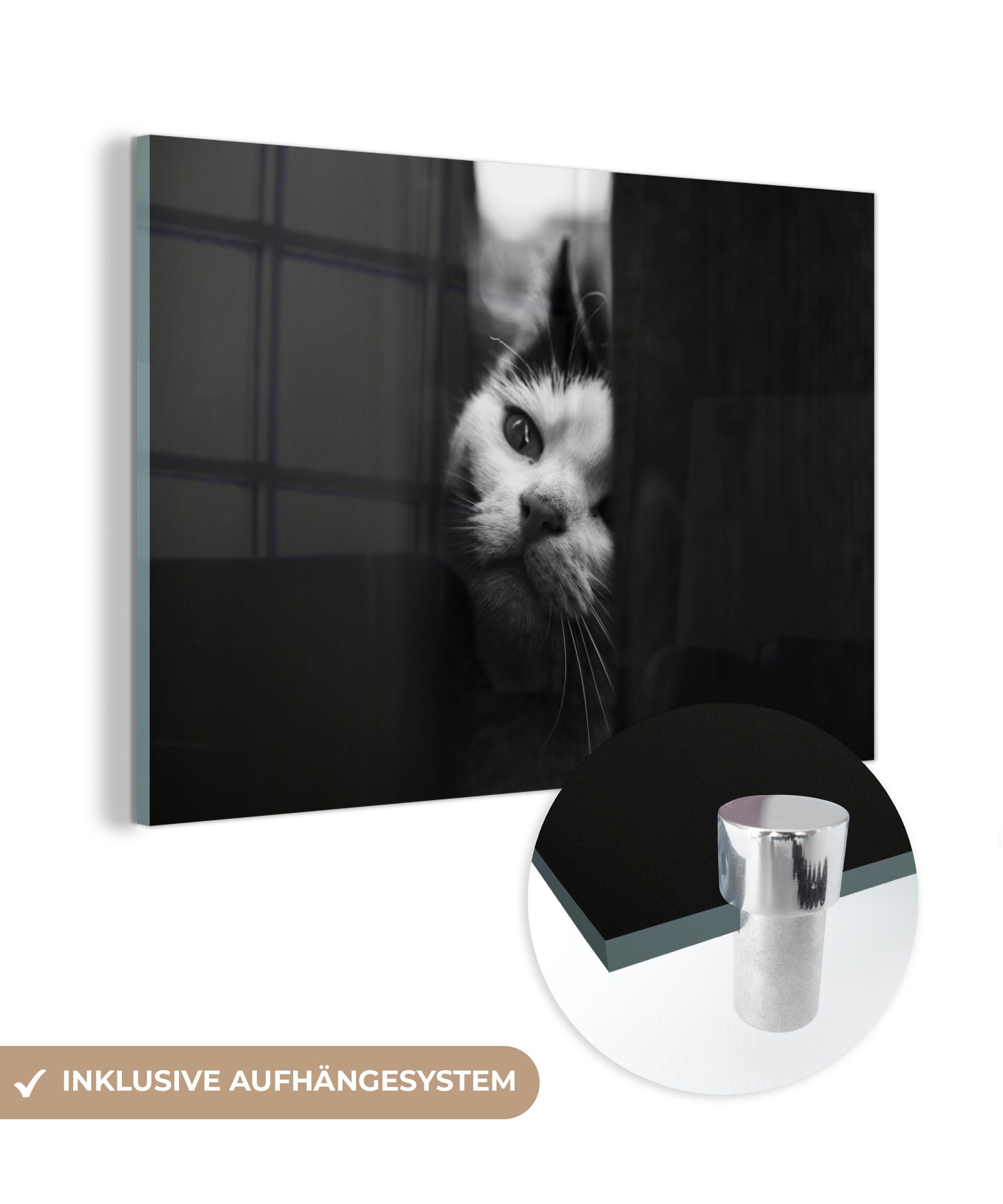 MuchoWow Acrylglasbild Tierprofil Spionage Katze in schwarz und weiß, (1 St), Acrylglasbilder Wohnzimmer & Schlafzimmer