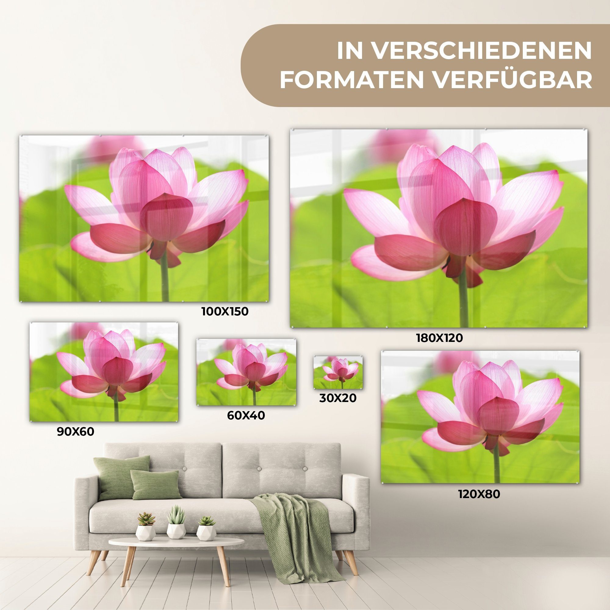 Schlafzimmer - Blumen - Rosa, (1 Acrylglasbilder & Wohnzimmer St), Blätter MuchoWow Acrylglasbild