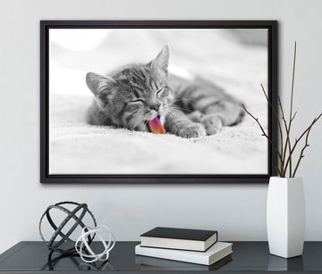 Pixxprint Leinwandbild kleines gähnendes Kätzchen, Wanddekoration (1 St), Leinwandbild fertig bespannt, in einem Schattenfugen-Bilderrahmen gefasst, inkl. Zackenaufhänger