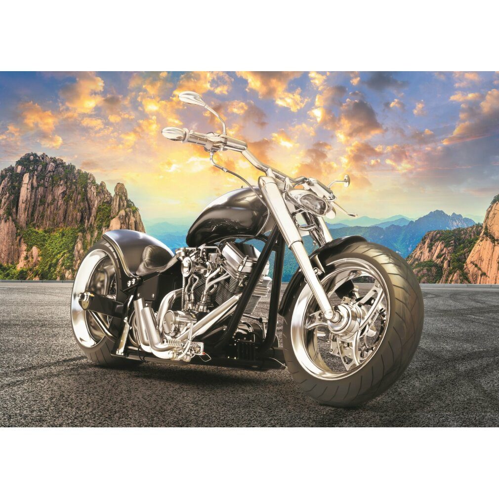 Trefl Puzzle Black Motorbike Puzzle 500 Teile, Puzzleteile günstig online kaufen