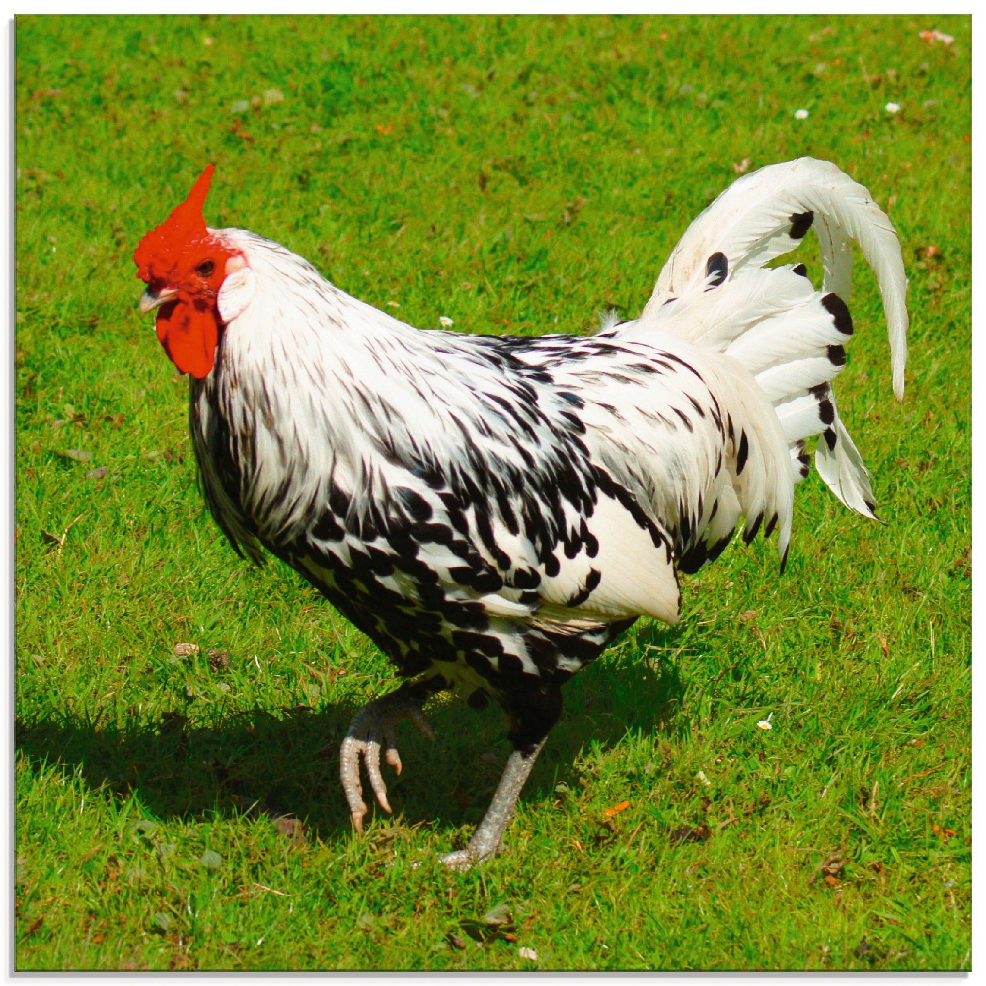 Artland Glasbild Gepunktetes Huhn, Vögel Größen St), in verschiedenen (1