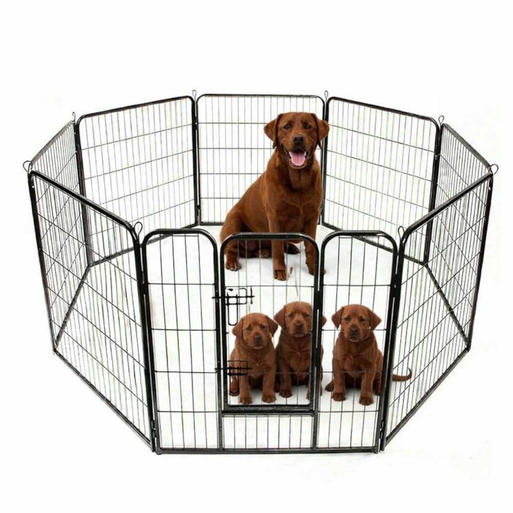 BruKa Freigehege Welpenauslauf Freigehege Young Dogs Tierlaufstall Welpenzaun 80cm