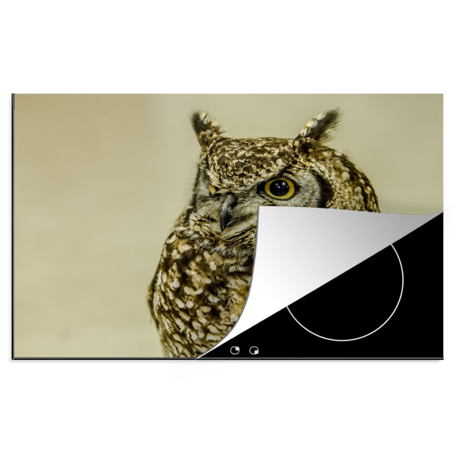 MuchoWow Herdblende-/Abdeckplatte Nahaufnahme einer Waldohreule auf braunem Hintergrund, Vinyl, (1 tlg), 81x52 cm, Induktionskochfeld Schutz für die küche, Ceranfeldabdeckung