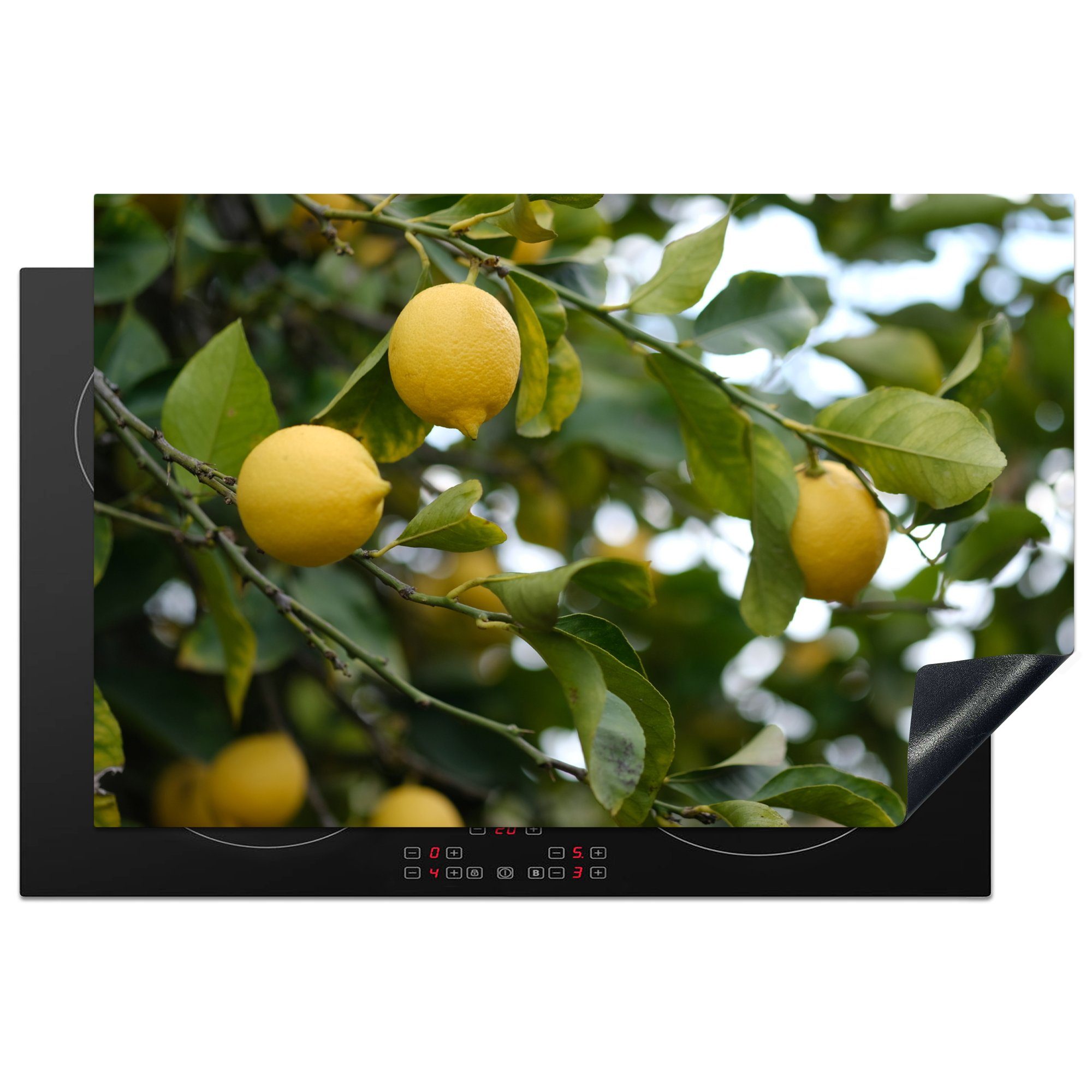 MuchoWow Herdblende-/Abdeckplatte Zitronenbaum in Spanien, Vinyl, (1 tlg), 81x52 cm, Induktionskochfeld Schutz für die küche, Ceranfeldabdeckung