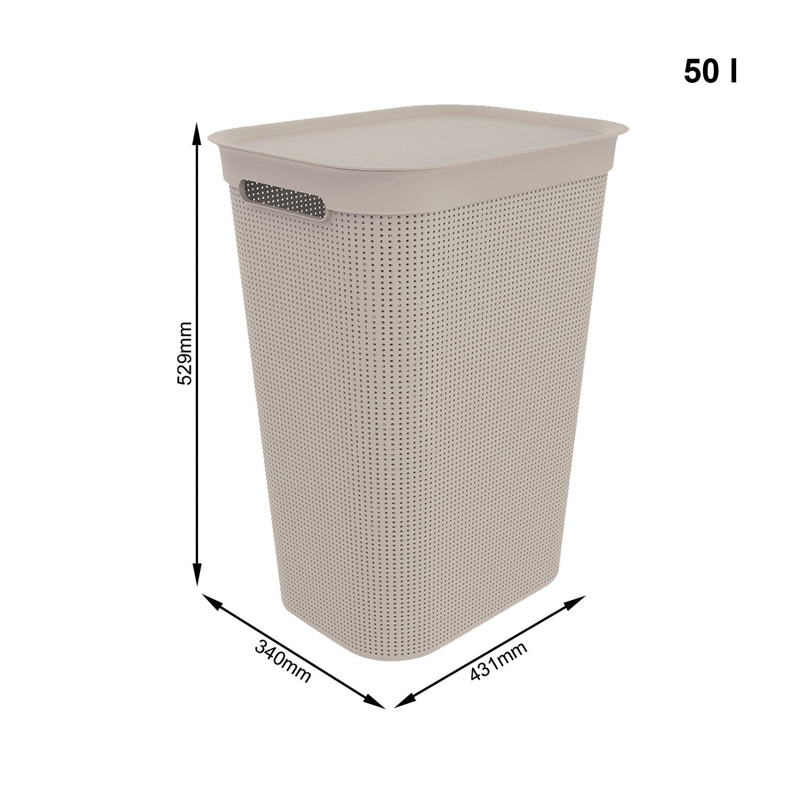ROTHO Wäschekorb Brisen Wäschebox 50l mit Deckel und Griffe, Geruchsarme Wäscheaufbewahrung dank cleverer Belüftung