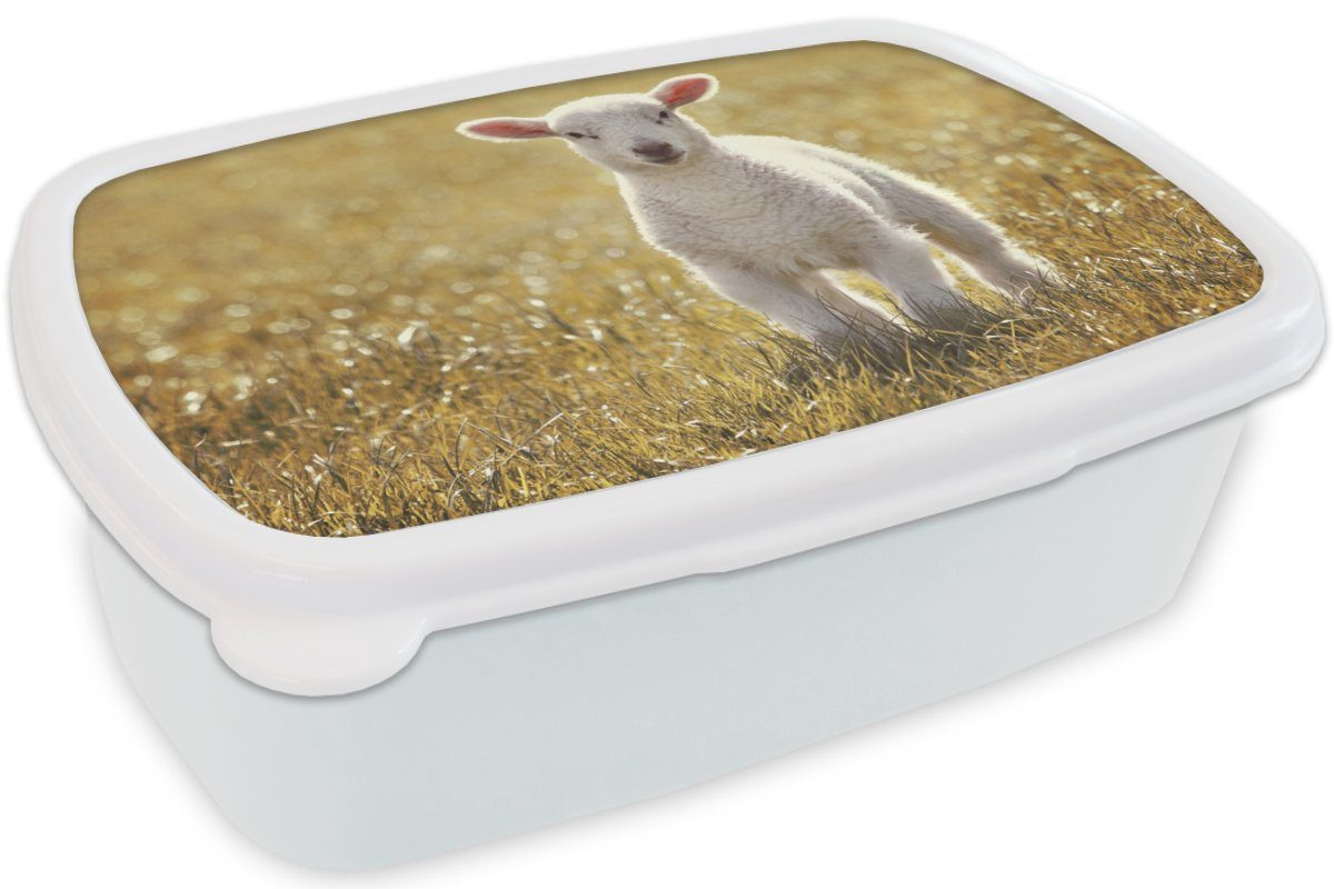 und Kinder - für Lunchbox MuchoWow Mädchen Erwachsene, und Sonne, (2-tlg), Gras Brotbox - Kunststoff, Jungs Schafe weiß Brotdose, für