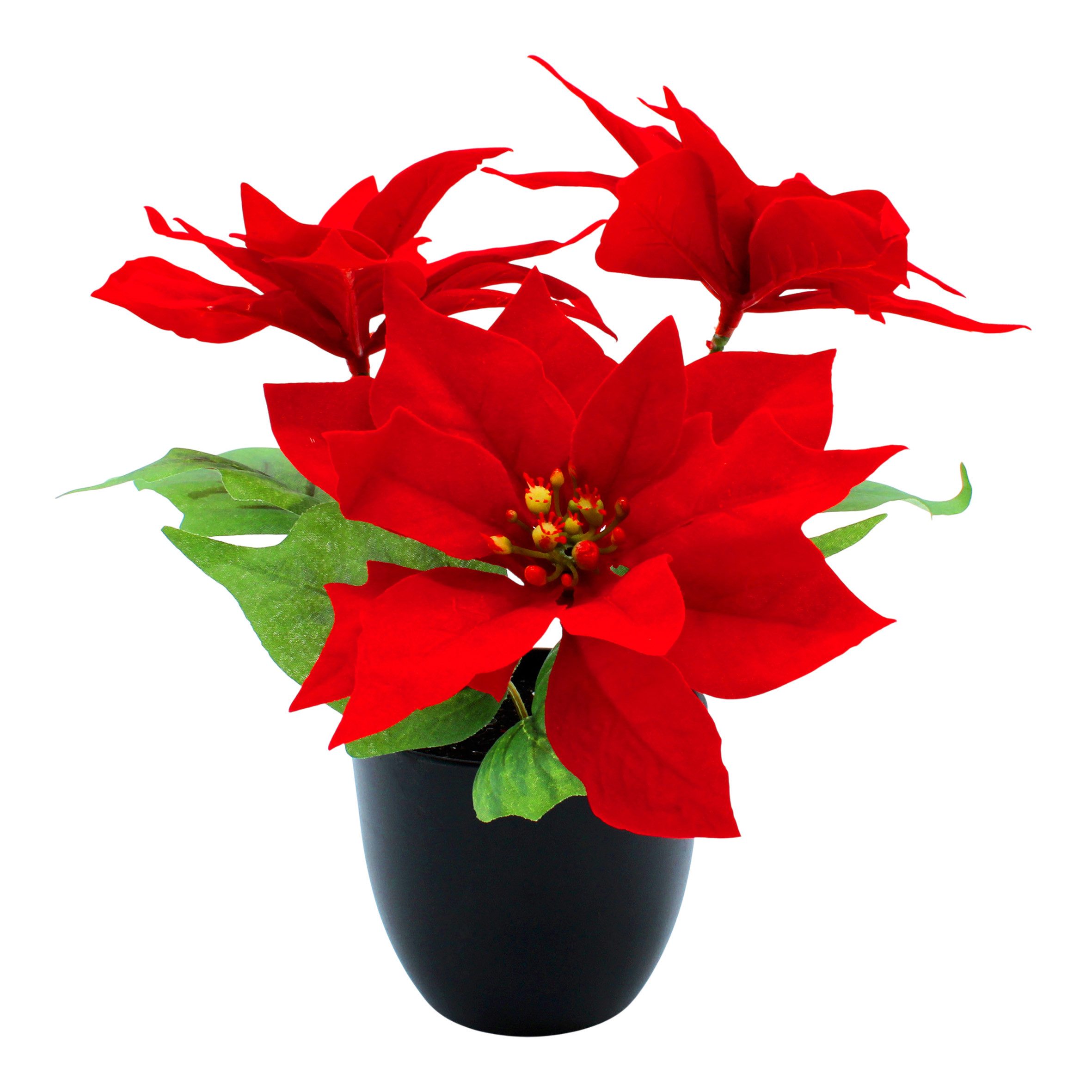 Winterliche Kunstpflanze Poinsettia, Spetebo, Höhe 27 günstig online kaufen