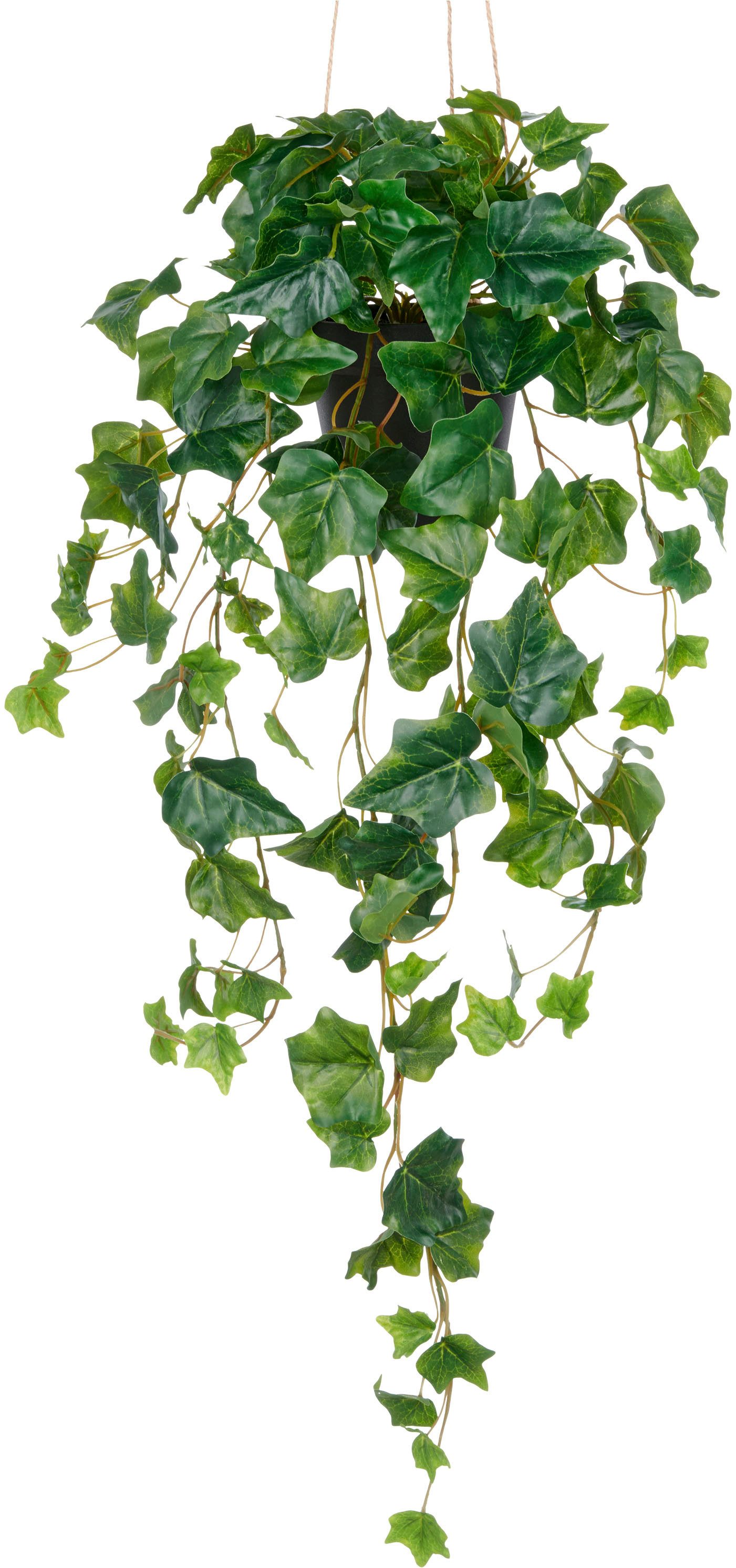 Kunstpflanze Efeuhänger, Creativ green, Höhe 75 cm, mit üppigen Ranken günstig online kaufen