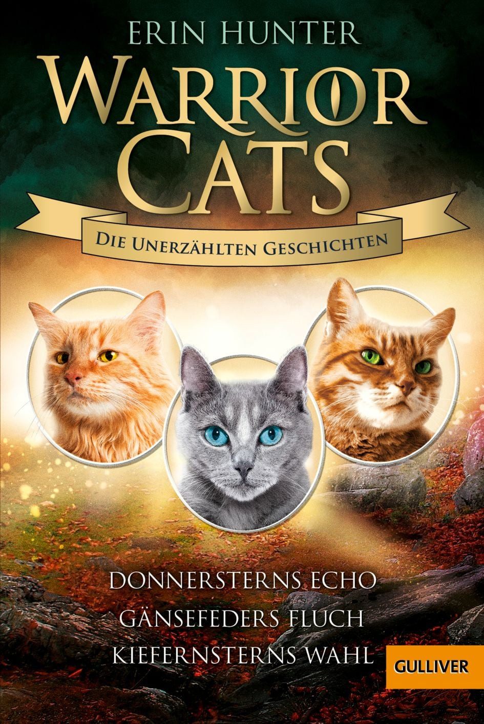 Warrior Cats - Die unerzählten Geschichten / Erin Hunter, Donnersterns Echo - Gänsefeders Fluch - Kiefernsterns Wahl