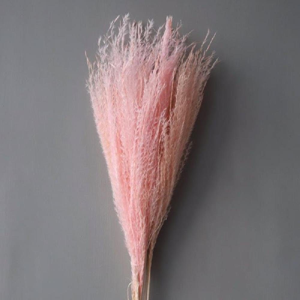 Stiele), Zimmerpflanze (ca.10 Faded Pampas Künstliche Pink Cooee Gras Feather getrocknetes Design