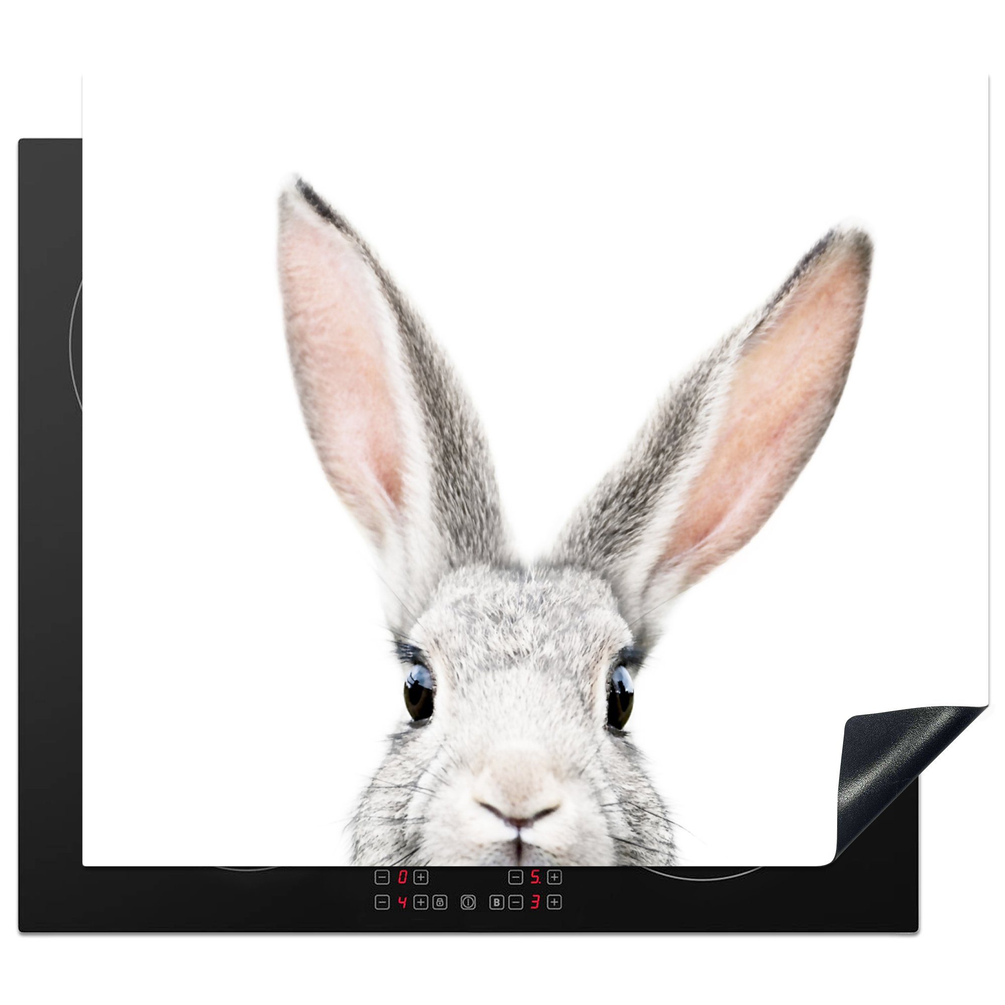 MuchoWow Herdblende-/Abdeckplatte Kaninchen - Tiere - Natur - Weiß, Vinyl, (1 tlg), 60x52 cm, Mobile Arbeitsfläche nutzbar, Ceranfeldabdeckung