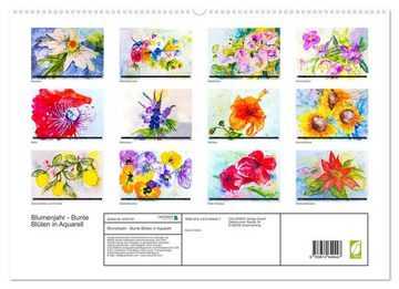 CALVENDO Wandkalender Blumenjahr - Bunte Blüten in Aquarell (Premium, hochwertiger DIN A2 Wandkalender 2023, Kunstdruck in Hochglanz)