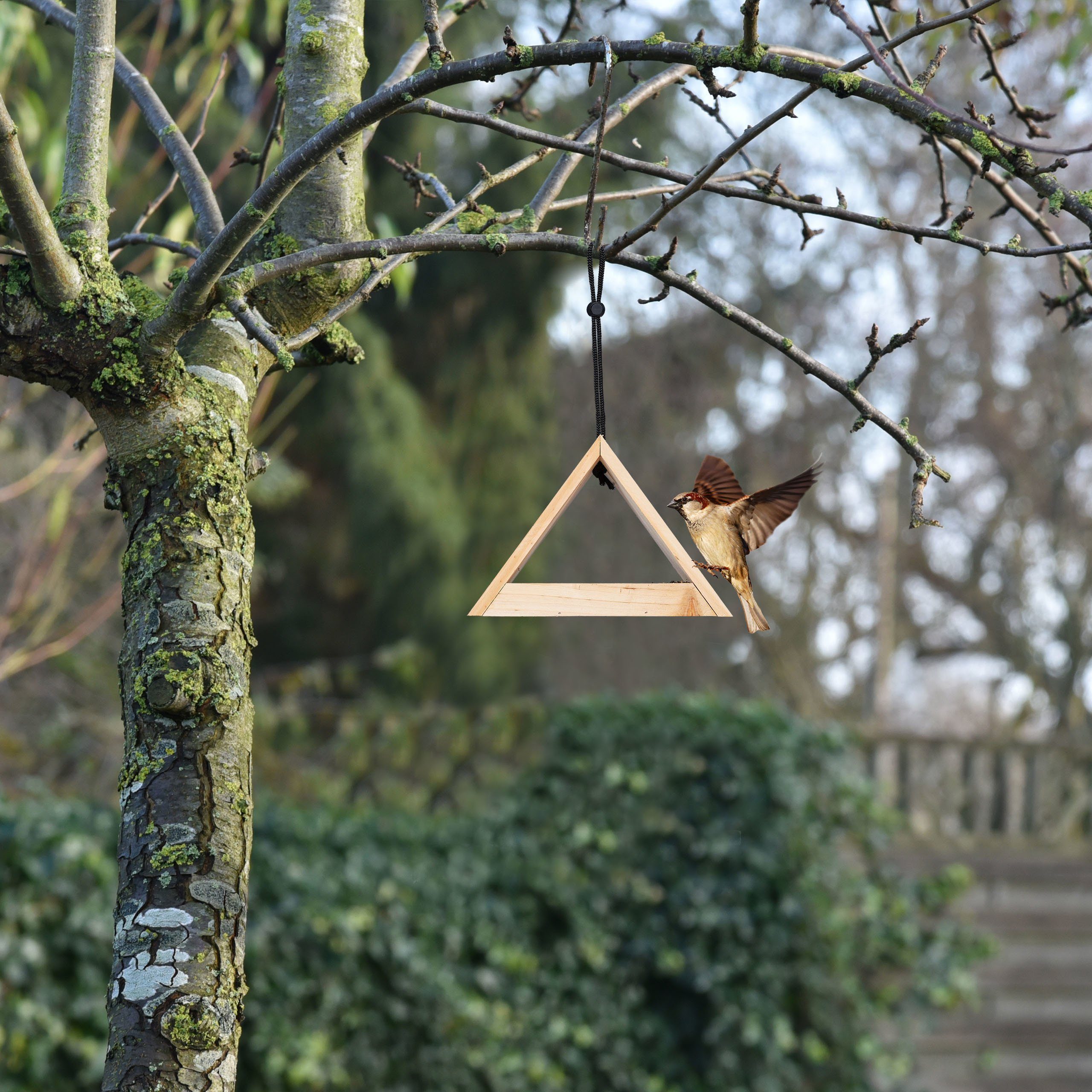 relaxdays Vogelhaus Vogelhaus zum Aufhängen