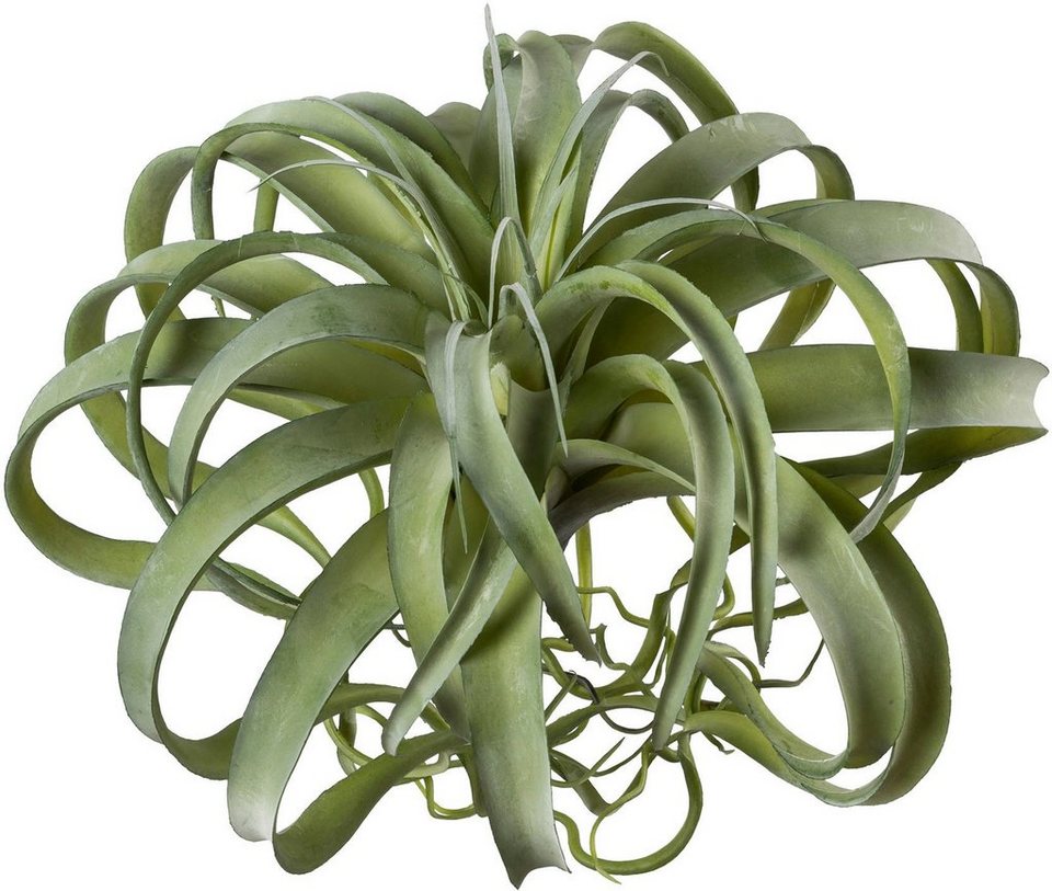 Kunstpflanze Tillandsie, Creativ green, Höhe 35 cm