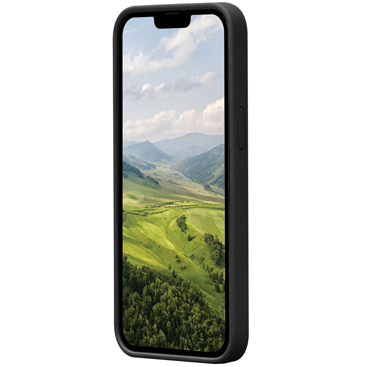 dbramante1928 Backcover dbramante1928 Greenland Backcover für das Apple iPhone 14 Pro Max - Sc