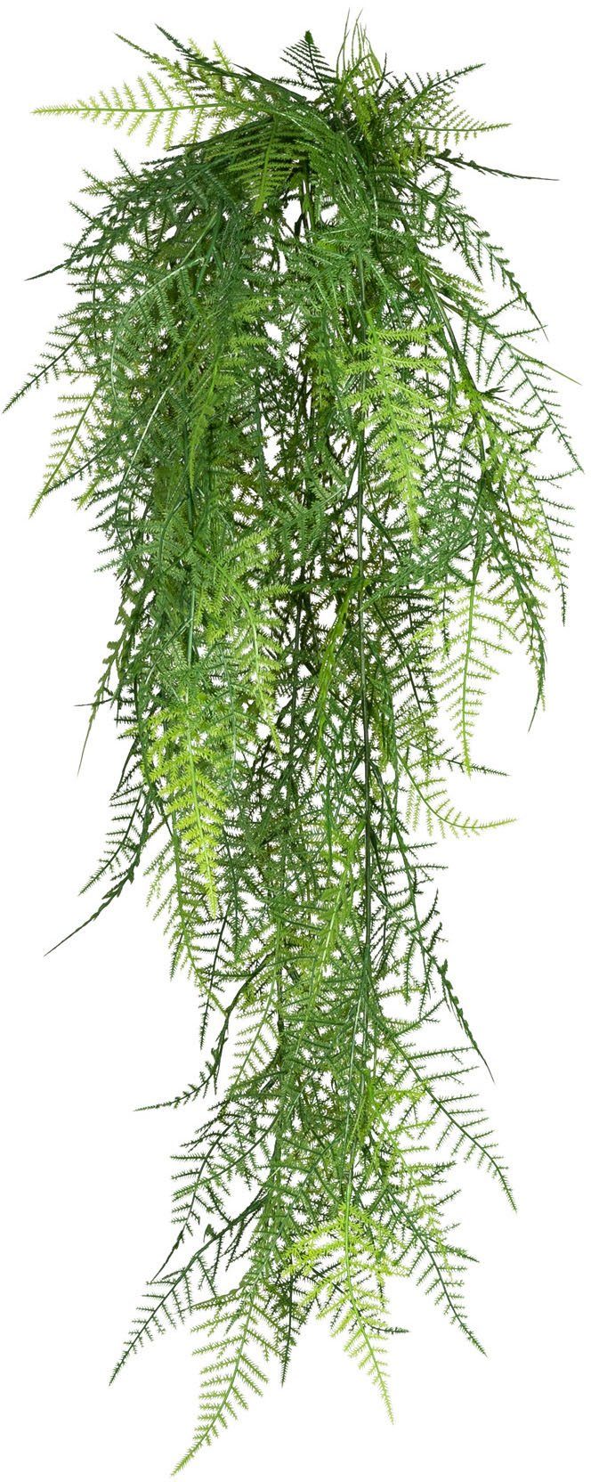 Asparagus, 80 Kunstranke green, Creativ Asparagus Hänger Höhe cm plumosus