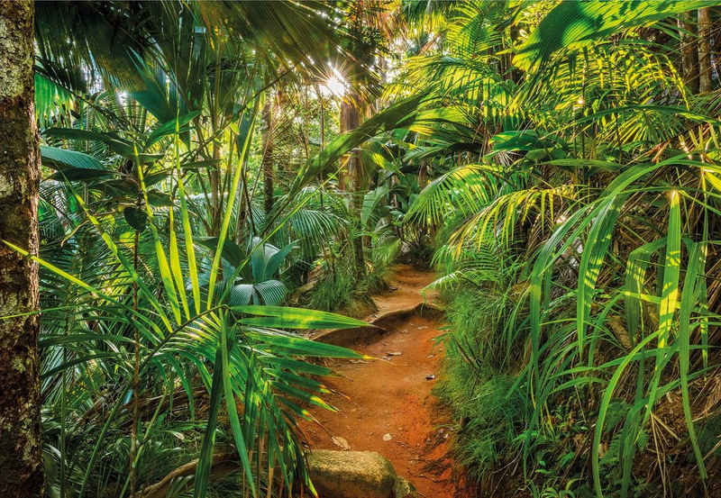 Komar Fototapete Jungle Trail, (1 St), 368x254 cm (Breite x Höhe), inklusive Kleister