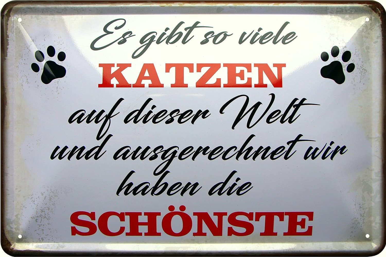 WOGEKA ART Metallbild Wir haben die Schönste Katze 20 x 30 cm Retro