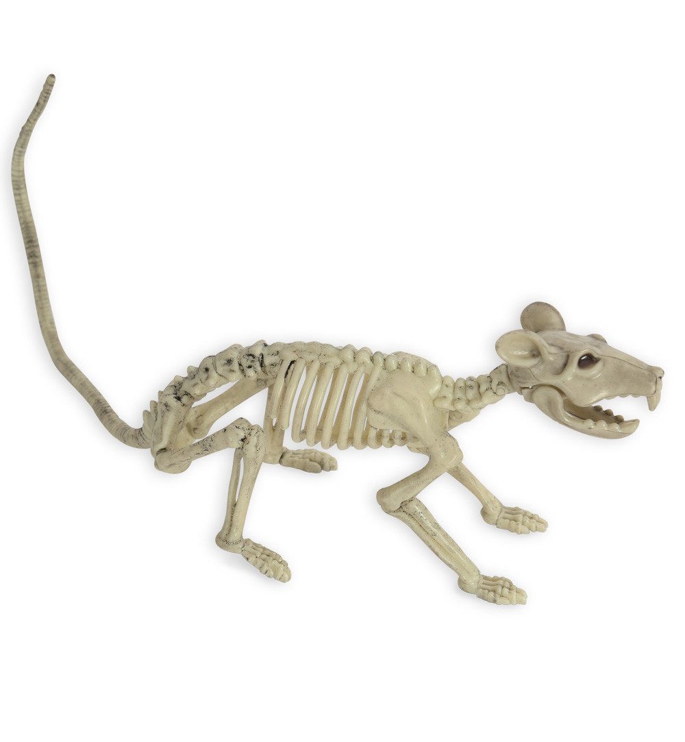 Fries Tierfigur Deko Skelett Ratte 34 günstig online kaufen