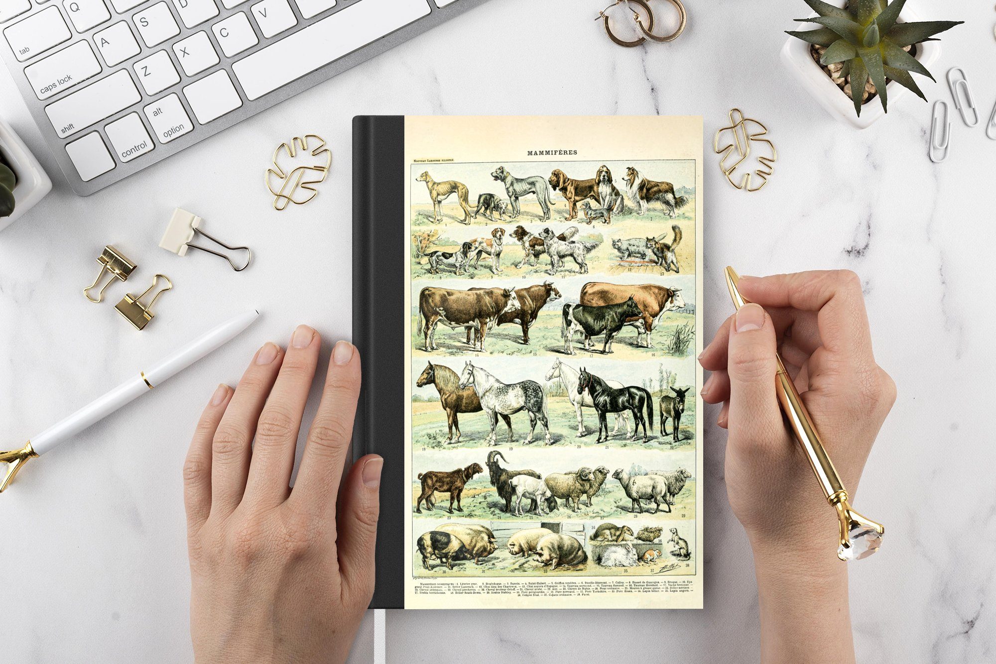 Pferde Haushaltsbuch Tagebuch, MuchoWow Journal, - Notizbuch - 98 Adolphe - Tiere Notizheft, A5, - Merkzettel, Illustration Seiten, Vintage Millot,