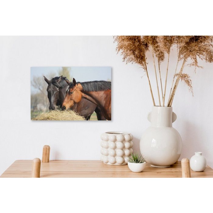 OneMillionCanvasses® Leinwandbild Pferde - Heu - Tiere (1 St) Wandbild Leinwandbilder Aufhängefertig Wanddeko SY12481