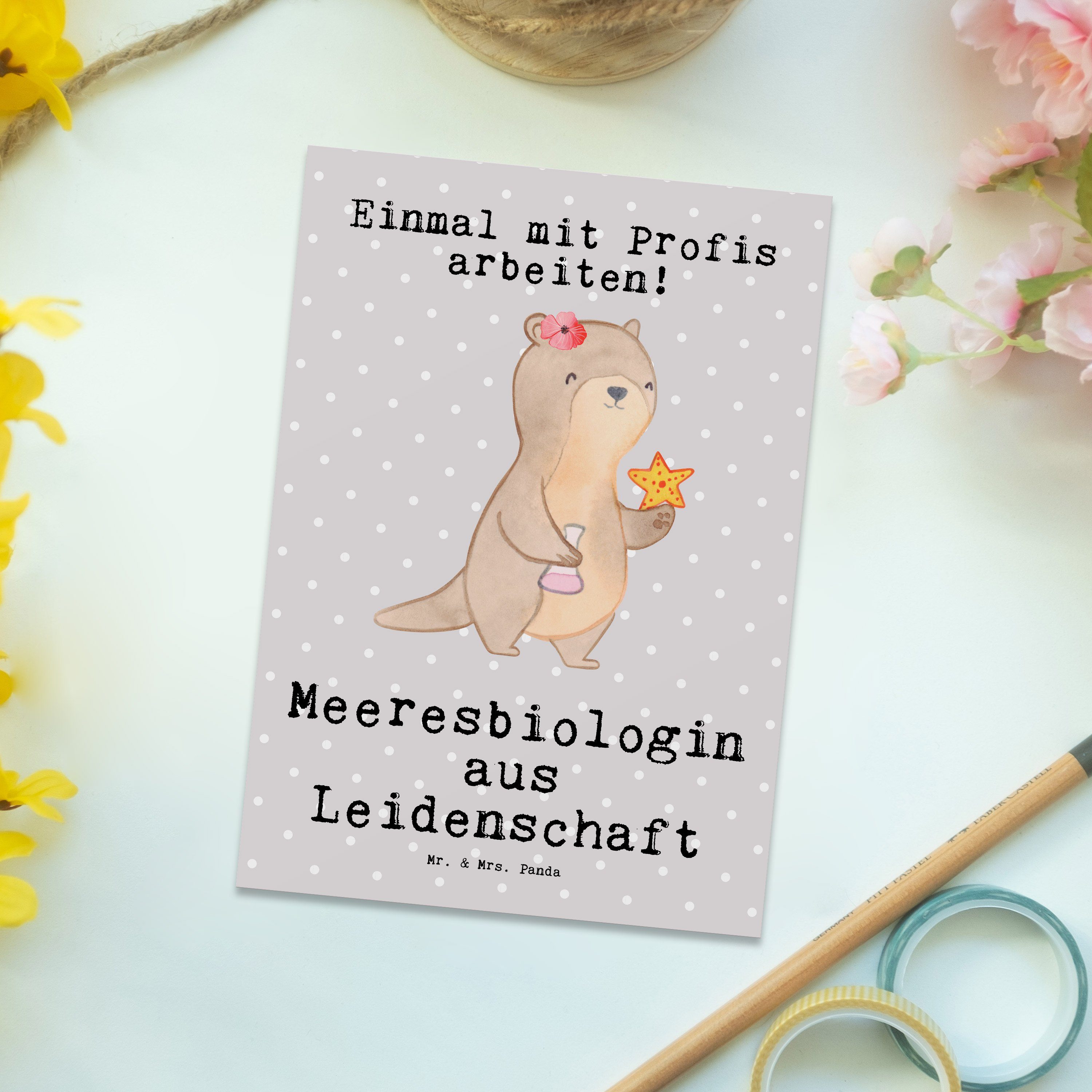 Mrs. aus Grau - Postkarte Leidenschaft - Geschenk, Pastell & Meeresbiologin Meeresfors Panda Mr.