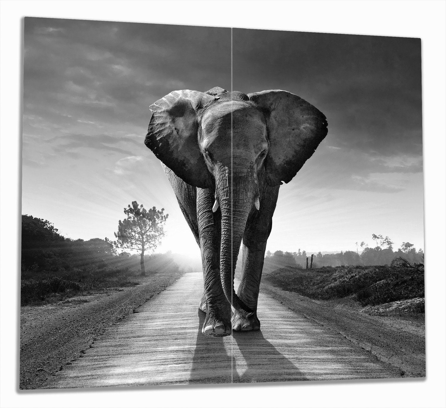Wallario Herd-Abdeckplatte Elefant bei Sonnenaufgang in Afrika schwarzweiß, ESG-Sicherheitsglas, (Glasplatte, 2 tlg., inkl. 5mm Noppen), verschiedene Größen
