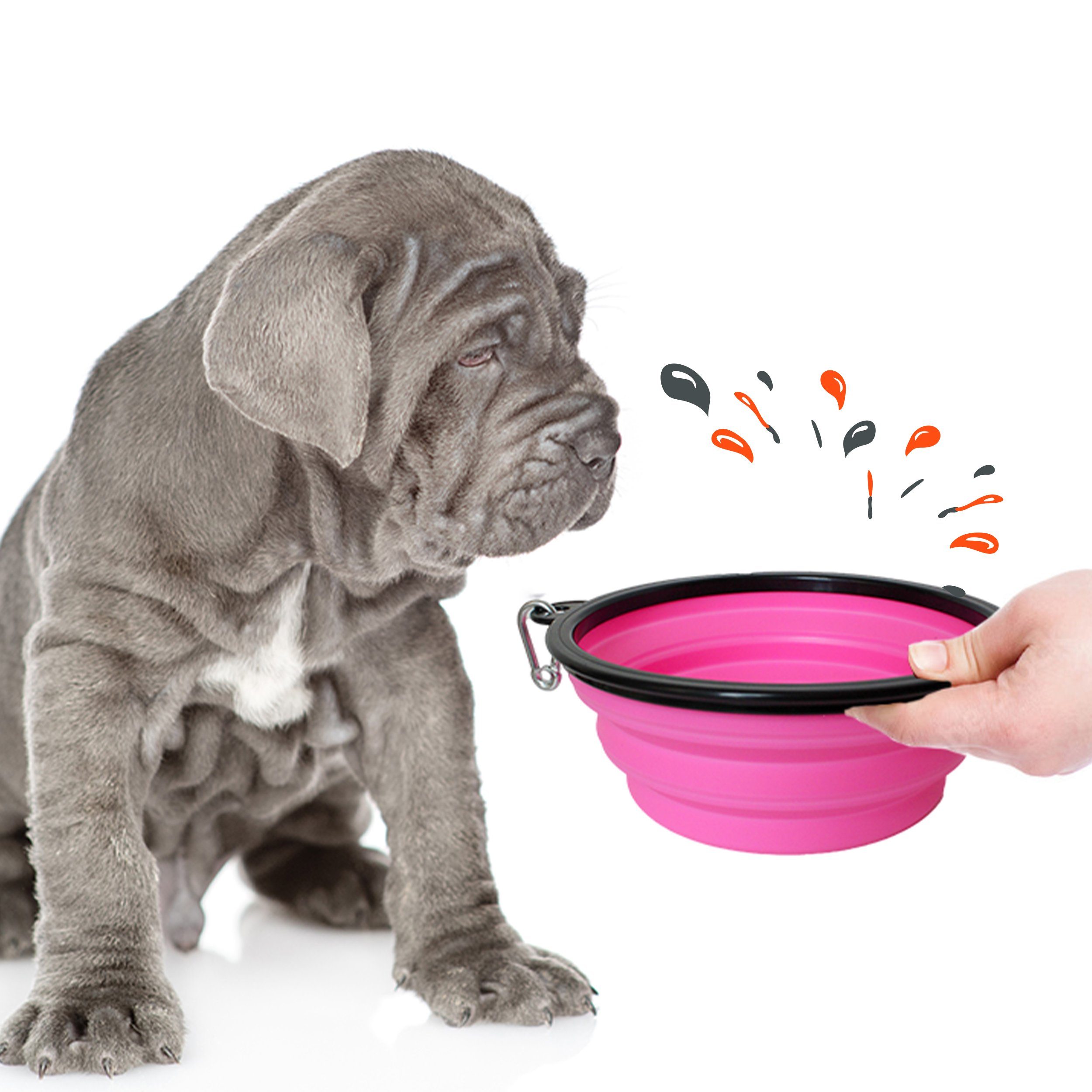Petsation Reisenapf Hundenapf faltbar für unterwegs - Reisenapf Hund ideal für den Alltag