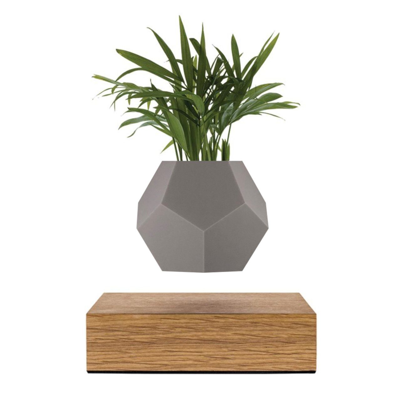 FLYTE Dekoobjekt Lyfe, Lyfe - Zubehör Silikonhülle für den schwebenen Pflan günstig online kaufen