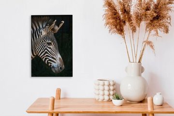 OneMillionCanvasses® Leinwandbild Nahaufnahme eines Zebras auf schwarzem Hintergrund, (1 St), Leinwandbild fertig bespannt inkl. Zackenaufhänger, Gemälde, 20x30 cm