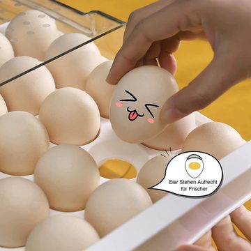 GelldG Eierkorb Eierbox 20 Eier Eierbehälter Kühlschrank durchsichtig Eierkorb