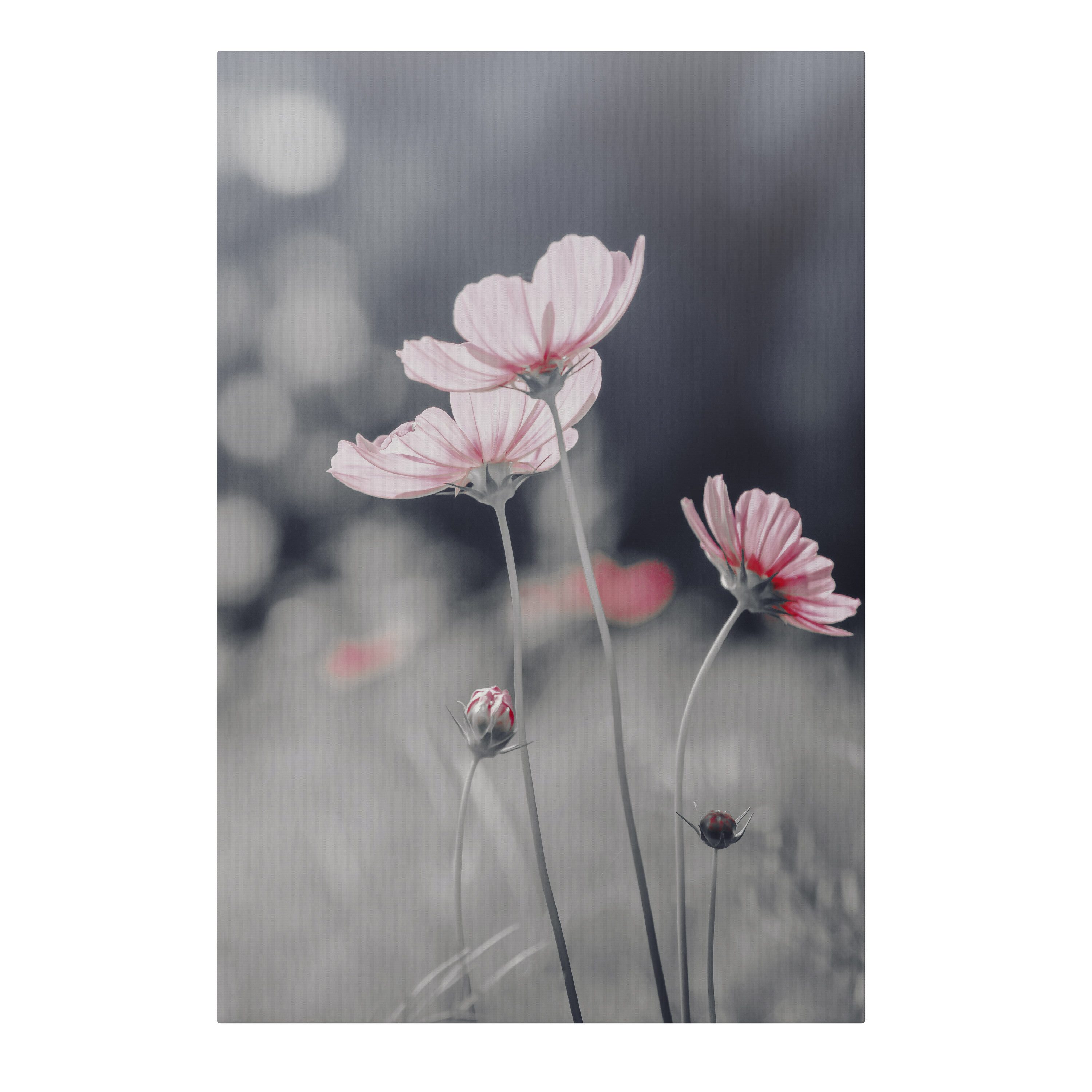 SPACEREBELS Leinwandbild SUBTLE PETAL DANCE, Blumen & Pflanzen (1 St), 3 cm Keilrahmen, Baumwollleinwand