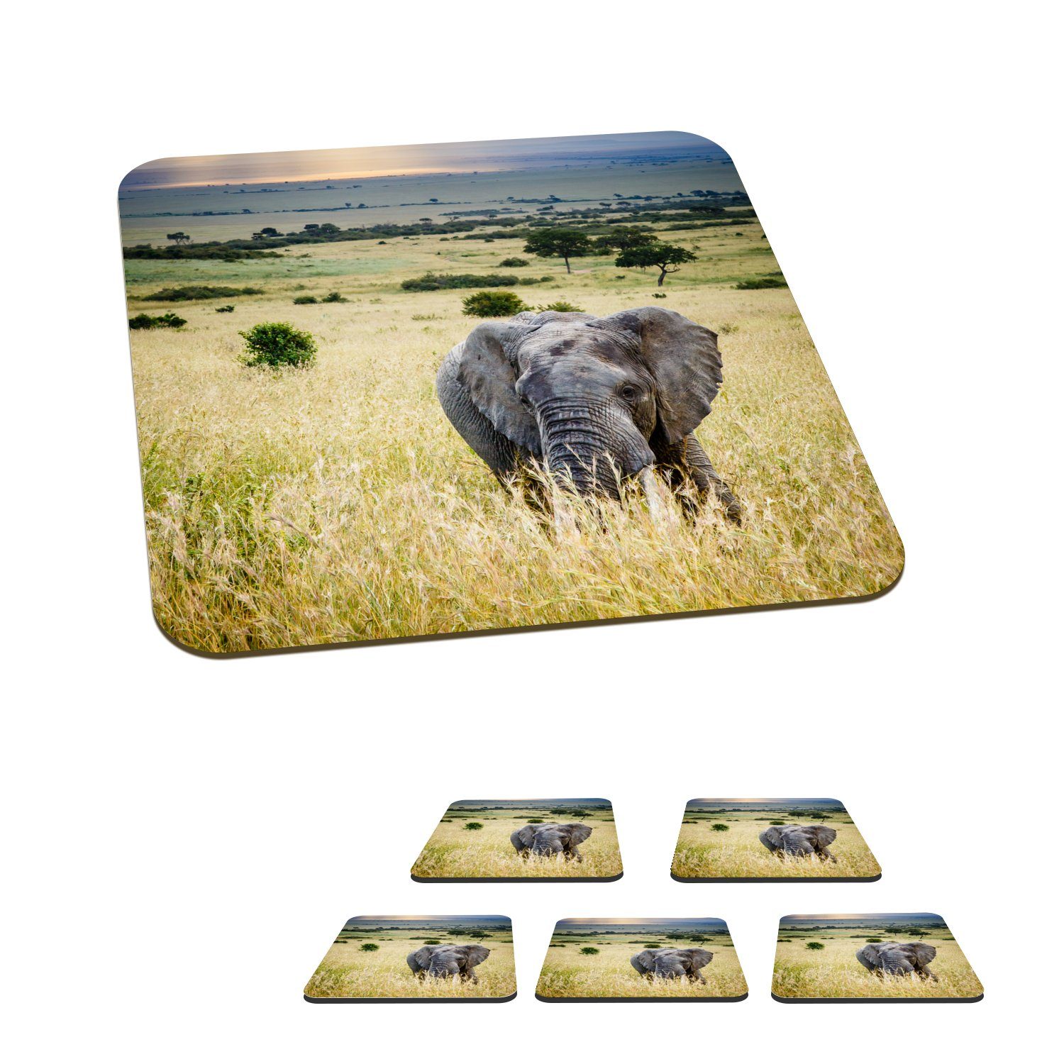 Sonne - - Tasse Gläser, - Zubehör Untersetzer, MuchoWow für Glasuntersetzer Korkuntersetzer, Tiere Landschaft 6-tlg., - Tischuntersetzer, Elefant Natur, Glasuntersetzer,