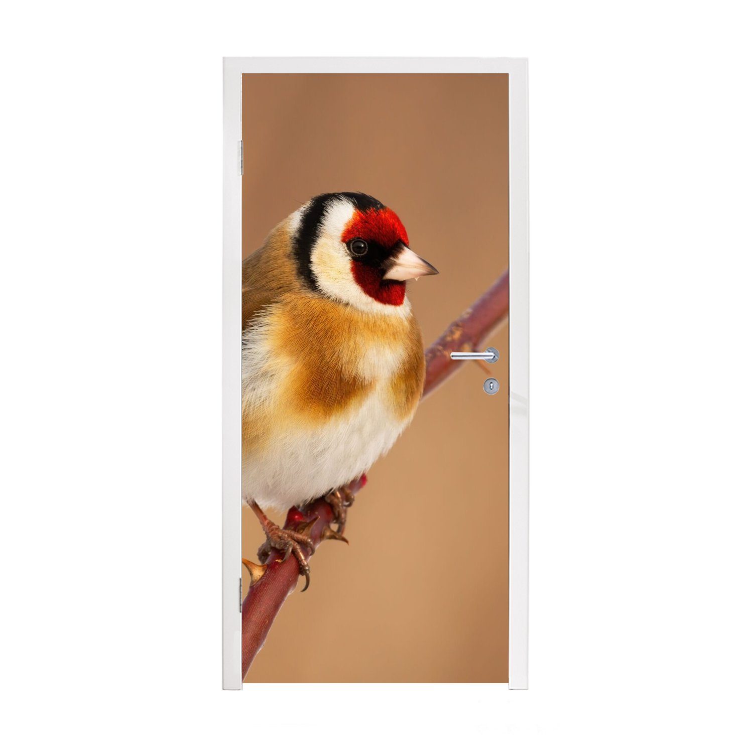 MuchoWow Türtapete Kropftaube - Vogel - Tiere, Matt, bedruckt, (1 St), Fototapete für Tür, Türaufkleber, 75x205 cm