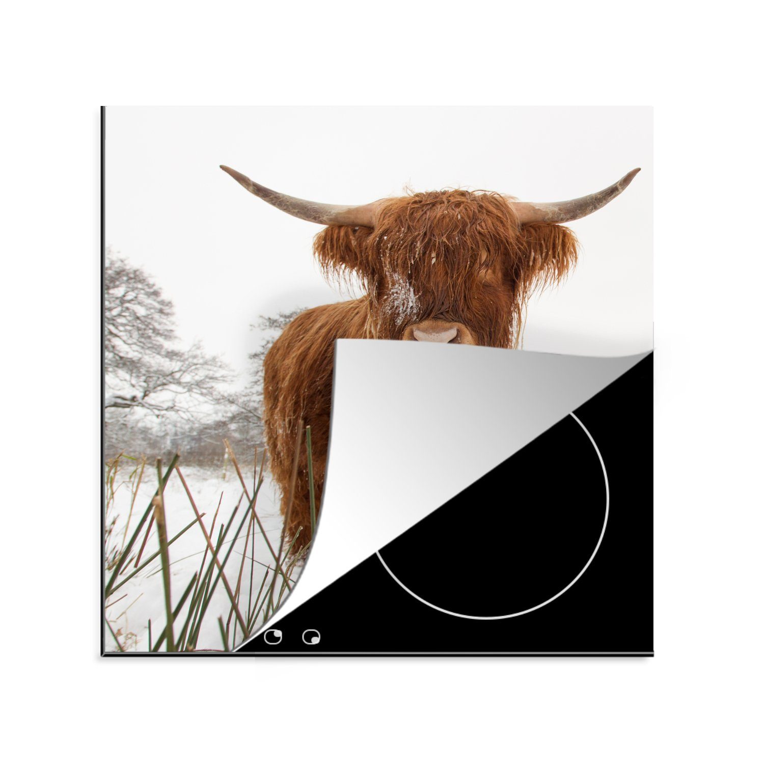 Highlander (1 Schottischer 78x78 - küche Vinyl, Arbeitsplatte Herdblende-/Abdeckplatte Ceranfeldabdeckung, Winter, Schnee - MuchoWow tlg), cm, für