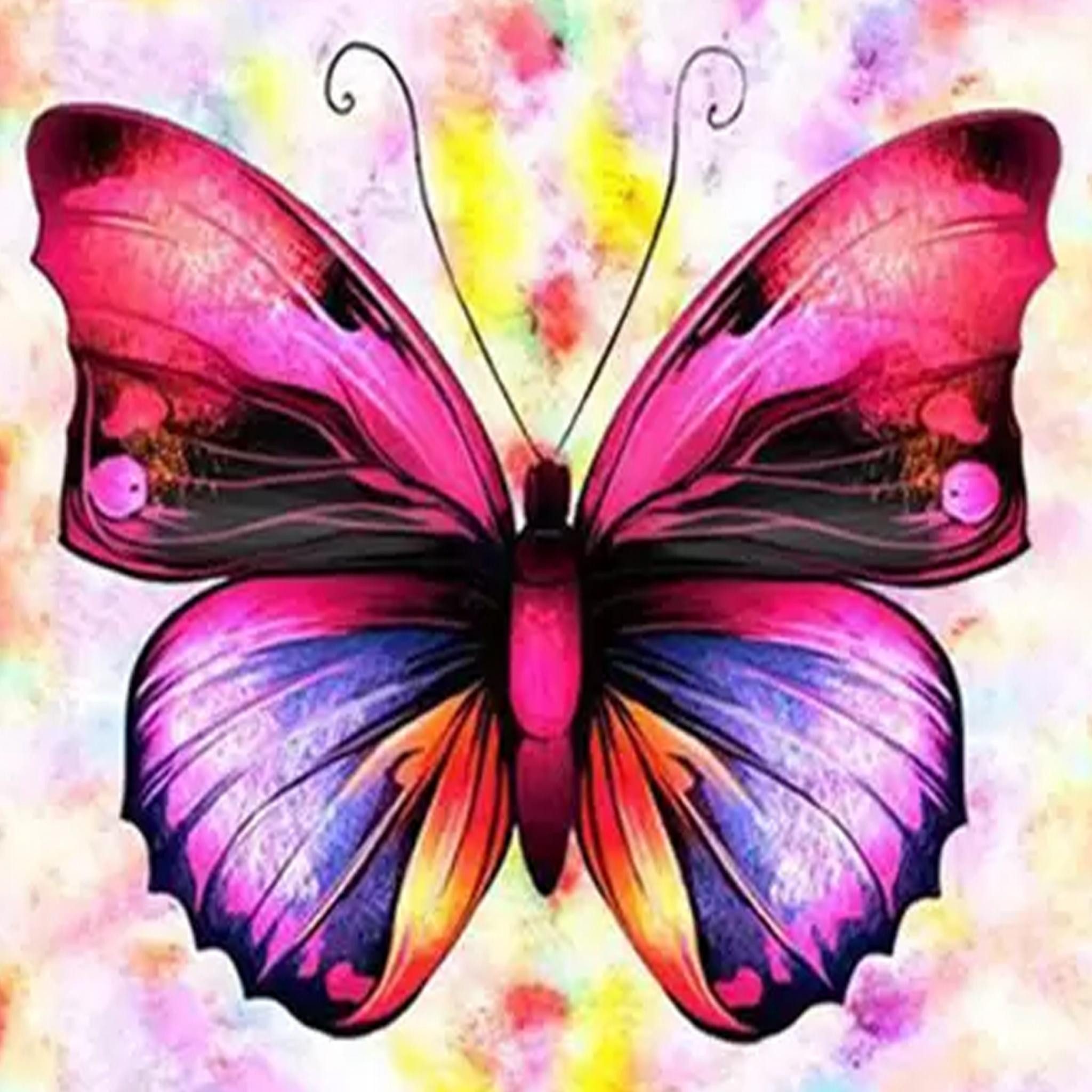 LA CUTE Malen nach Zahlen 5d Diamond Painting Schmetterling Malen nach Zahl günstig online kaufen