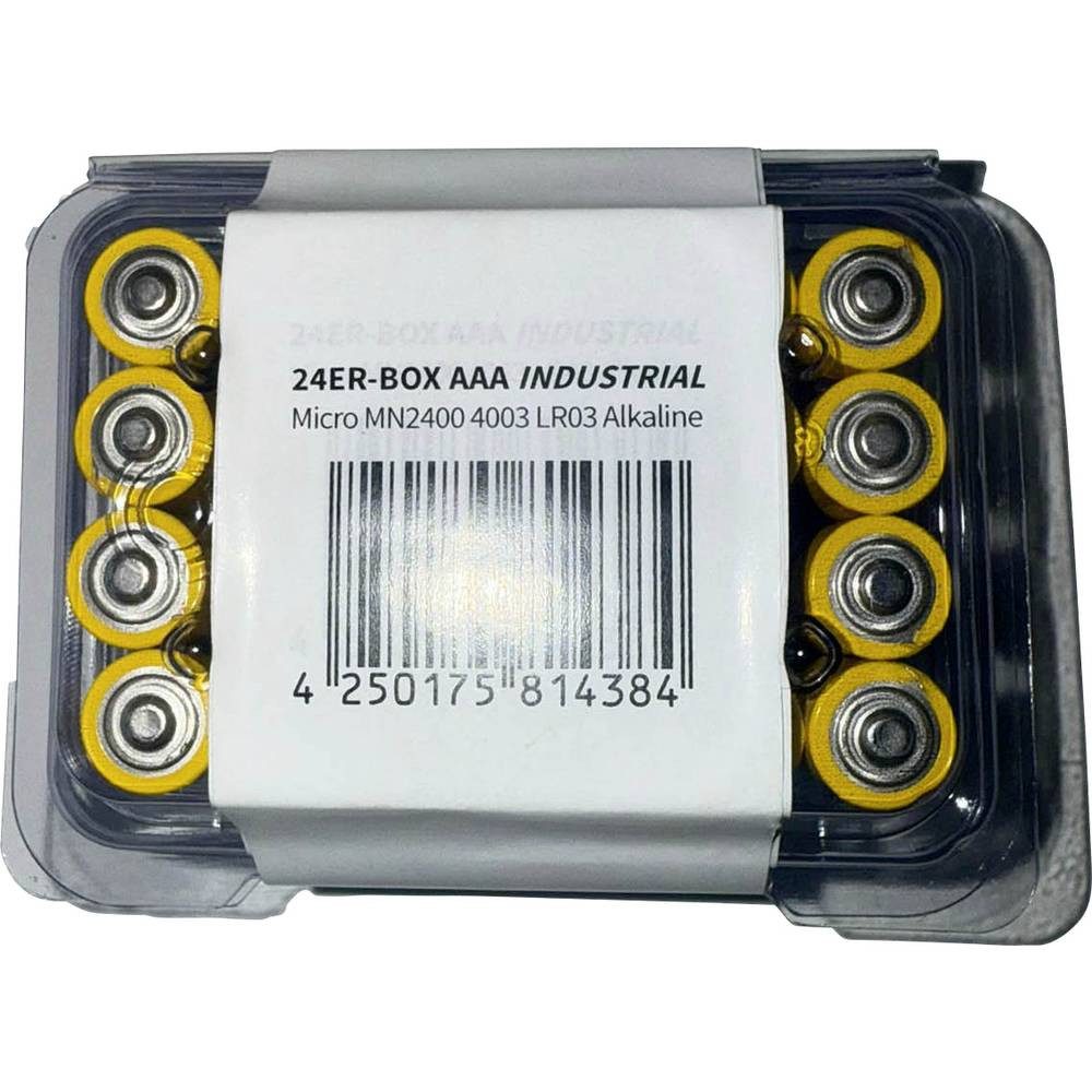 VARTA BMICVS4003BOX Batterie
