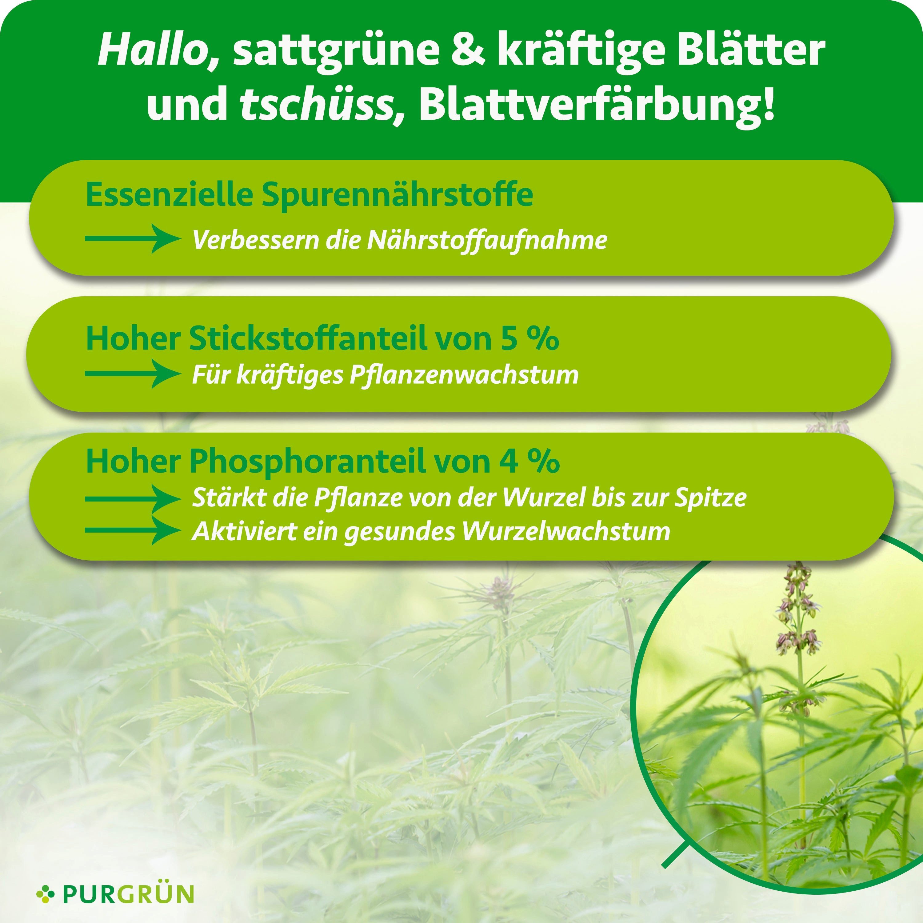 Purgrün Pflanzendünger Autoflower Grow Dünger, NPK 5+4+6, kräftiges Wachstum, 1 Liter, Flüssigdünger, 1-St., 1 Liter