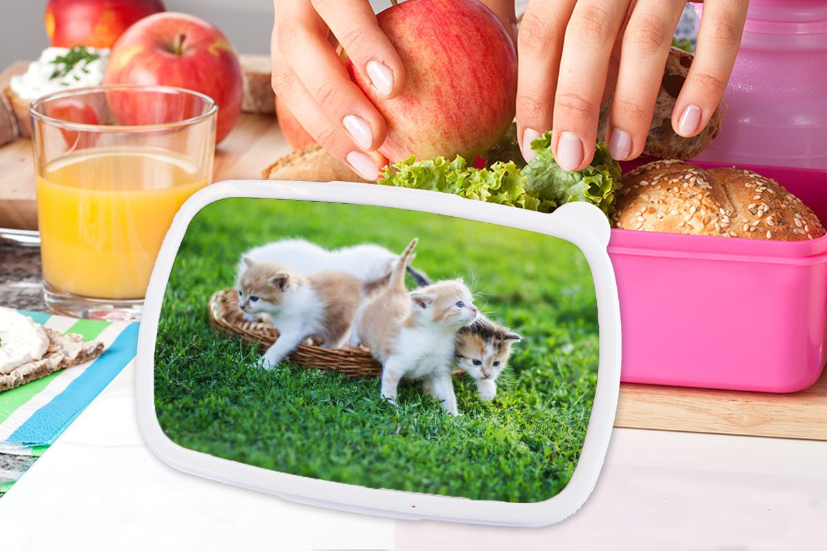 MuchoWow Lunchbox Kätzchen - Katze Erwachsene, Korb Mädchen, - (2-tlg), Kinder, Kinder, Snackbox, - Mädchen - - - Kunststoff Brotbox rosa Jungen Brotdose Kunststoff, Kinder für