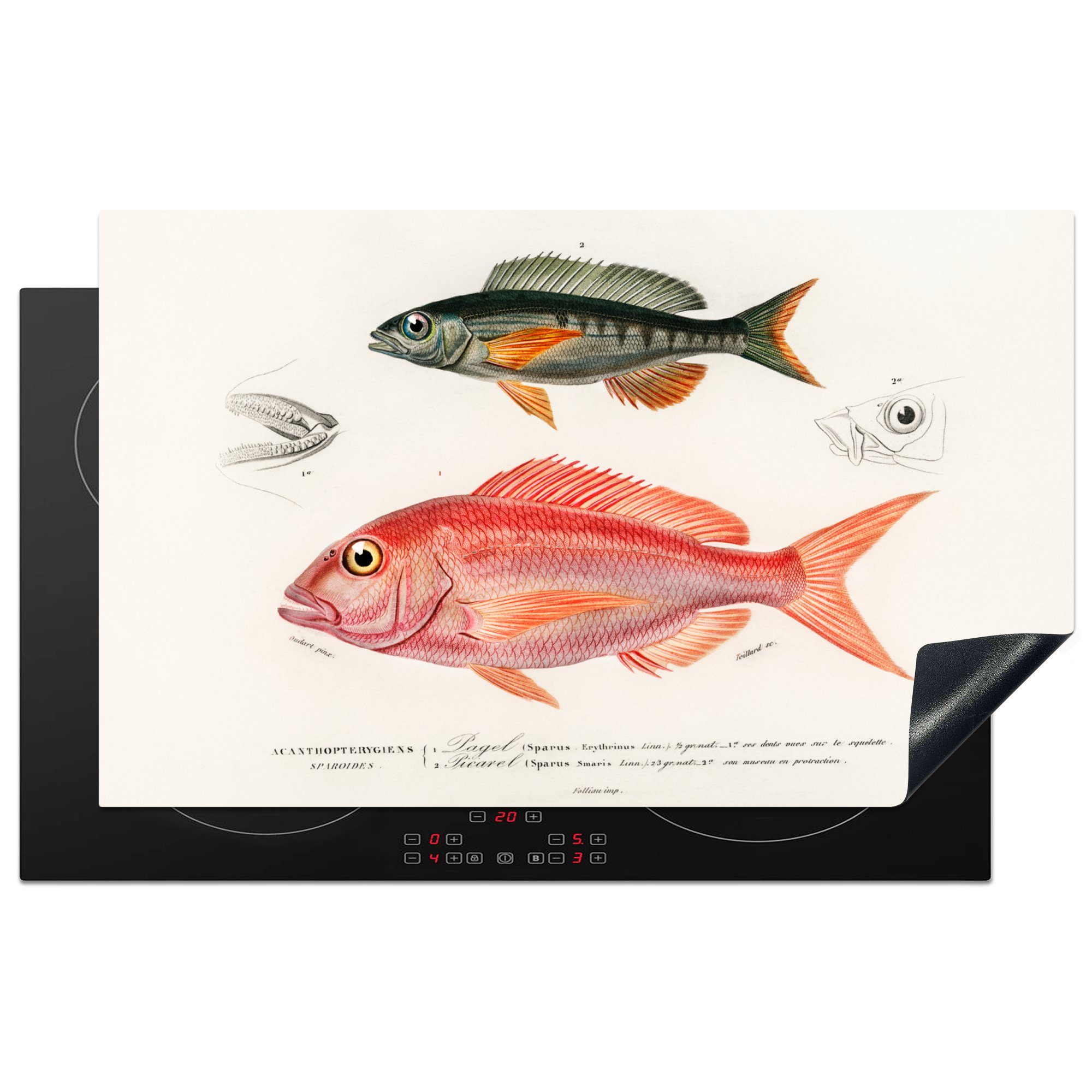 MuchoWow Herdblende-/Abdeckplatte Fisch - - Vintage (1 Ceranfeldabdeckung, Vinyl, für Arbeitsplatte 83x51 cm, küche Farbe, tlg)