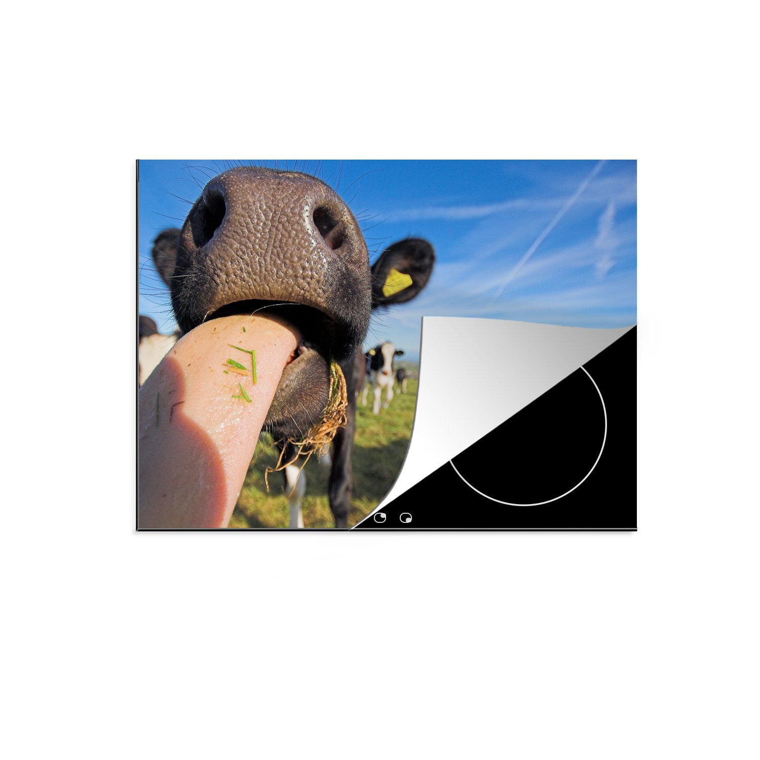 Induktionskochfeld für Zunge, Ceranfeldabdeckung - Kühe Schutz tlg), 71x52 Gras MuchoWow die küche, (1 Vinyl, - Herdblende-/Abdeckplatte cm,